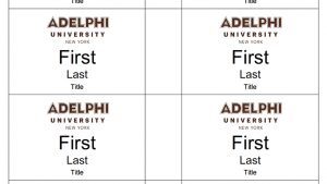 Name s Brand Identity Adelphi University