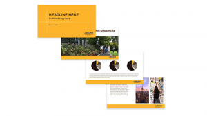 Powerpoint And Google Slides Brand Identity Adelphi University