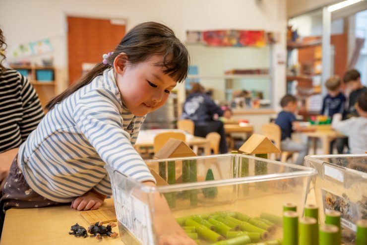 A pre-schooler builds with blocks and reaches into a bin in the Adelphi University Early Learning Center.