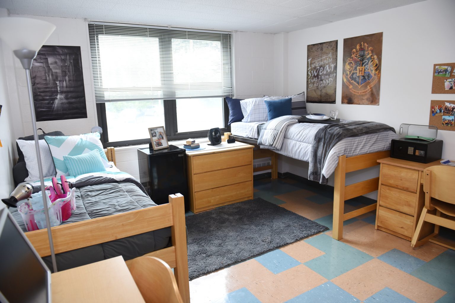 Campus Housing Options | Residential Life | Adelphi University