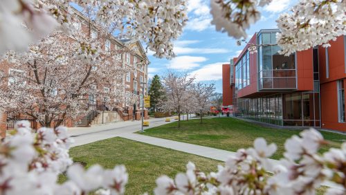 Office of the University Registrar | Adelphi University