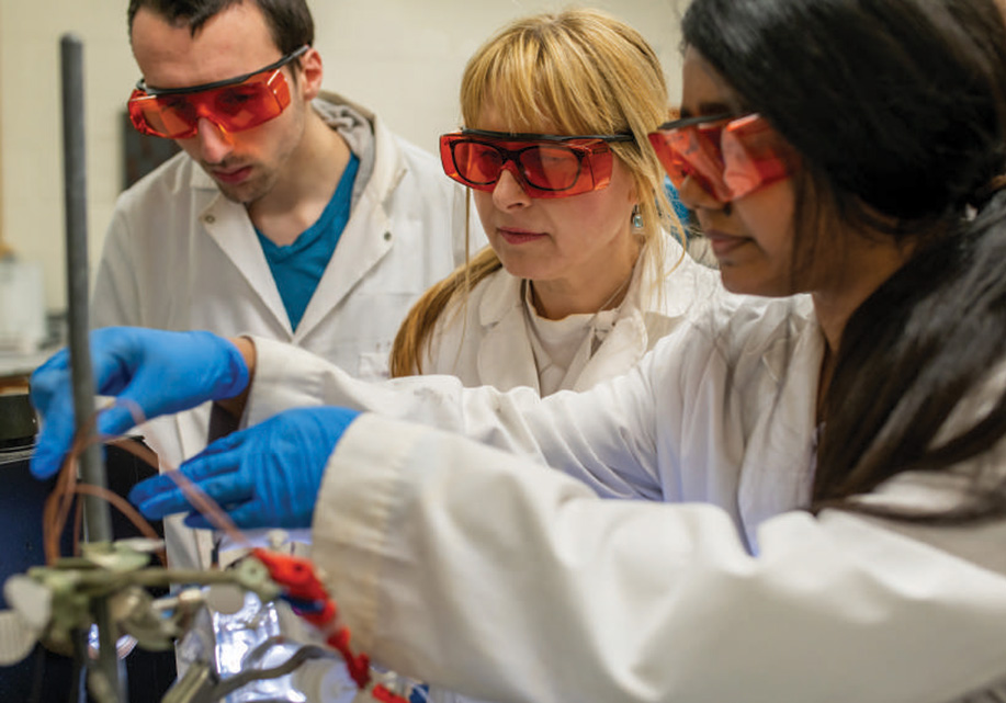 Justyna Widera-Kalinowska, PhD, is a professor of chemistry whose research interests range from nanotechnology to novel semiconducting materials and their hybrid composites for various applications, including solar light harvesting, hydrogen fuel generation and photocatalytic degradation of hazardous waste present in water. 