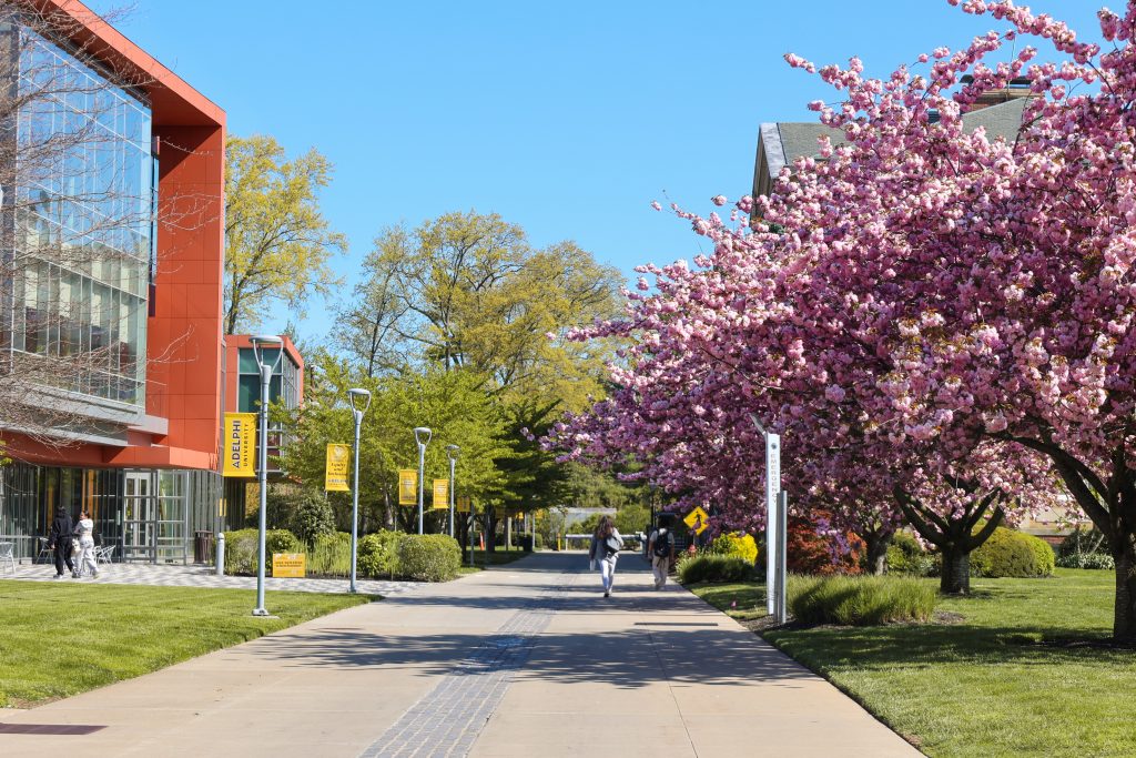 Adelphi University campus in the spring, Long Island New York.