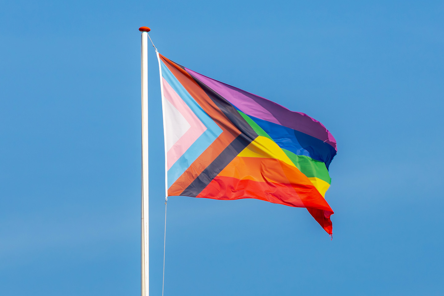Gay pride flag swastika