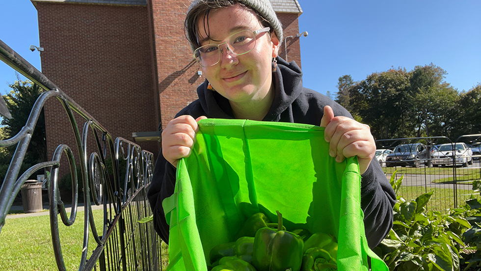 A person holding a bag of green peppers.