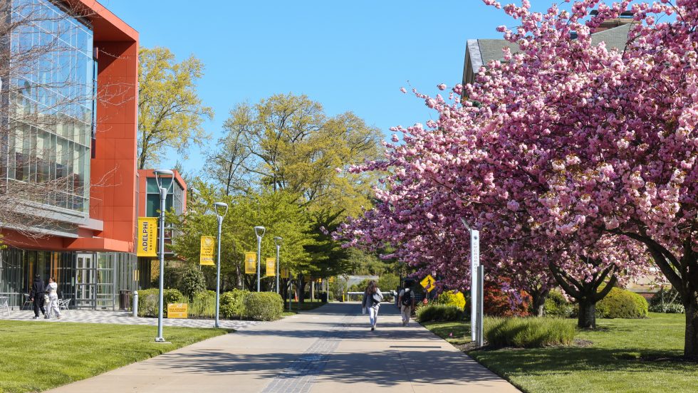 A pedestrian walkway lined with banners and flowering trees on a sunny day with a modern building on the left and people walking in the background