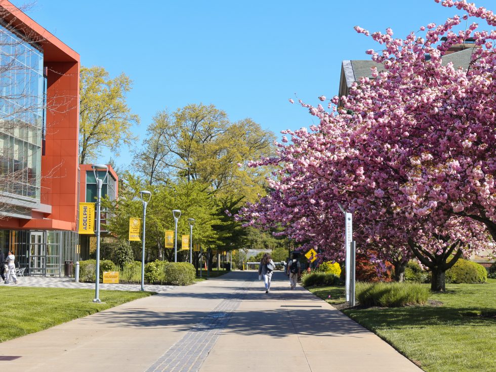 A pedestrian walkway lined with banners and flowering trees on a sunny day with a modern building on the left and people walking in the background