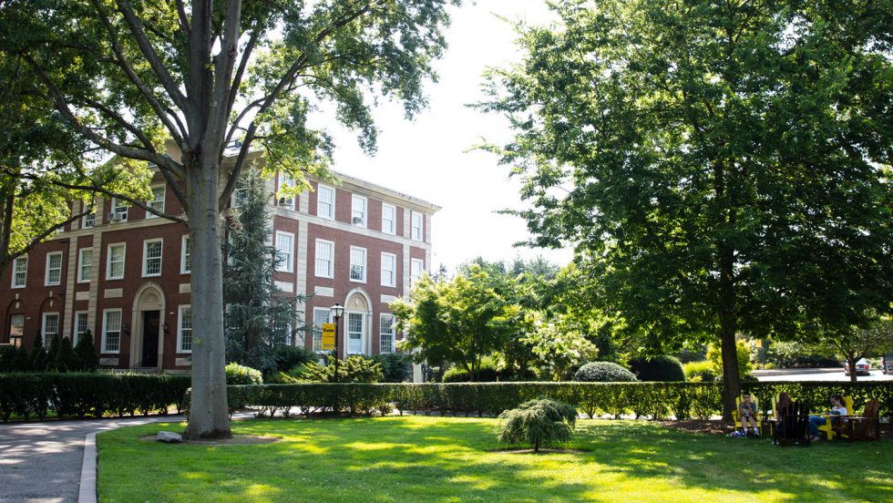 Trees, bushes and grass next to a large building