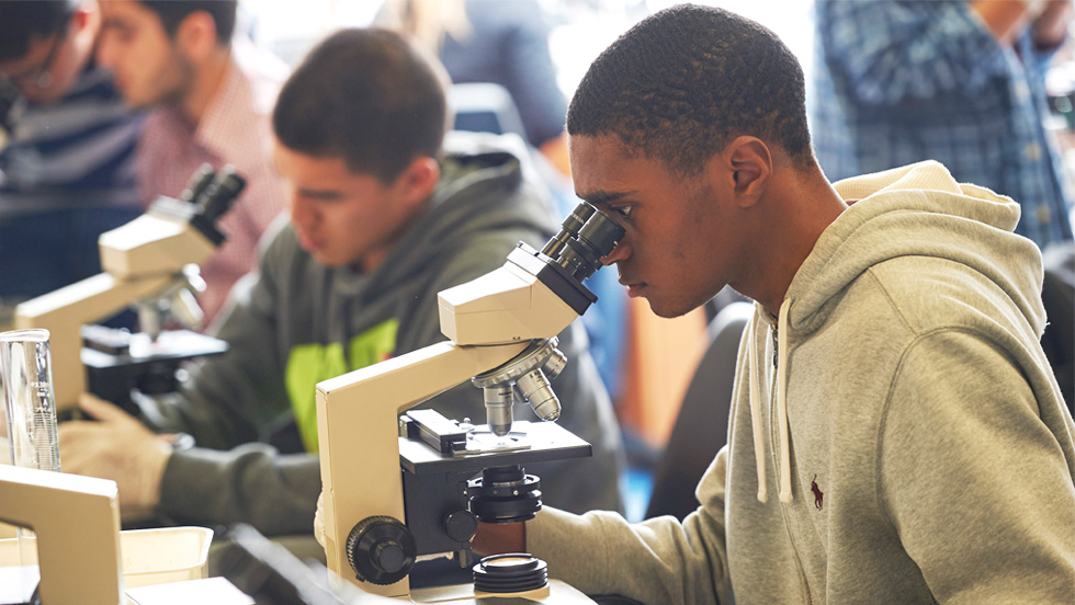 College students look through microscopes in a classroom.